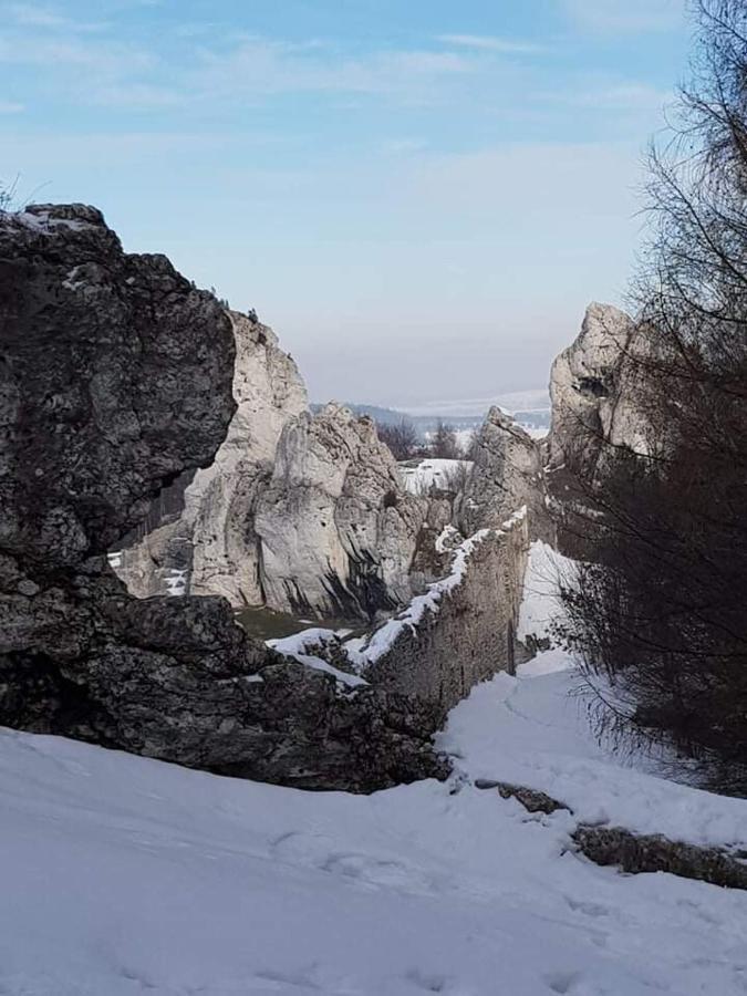 Pokoje Przy Zamku Podzamcze  외부 사진